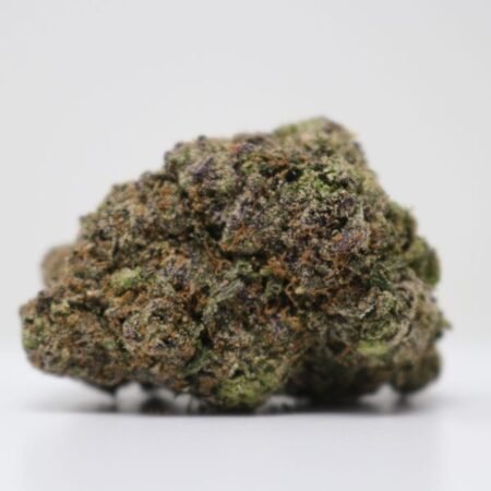 BLACK TRUFFLELATTO