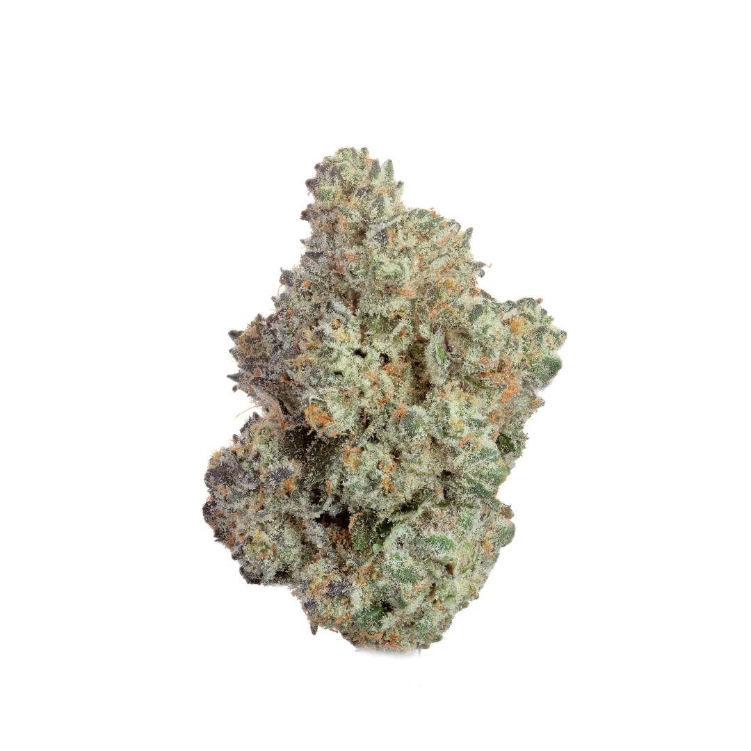 GREASE MONKEY