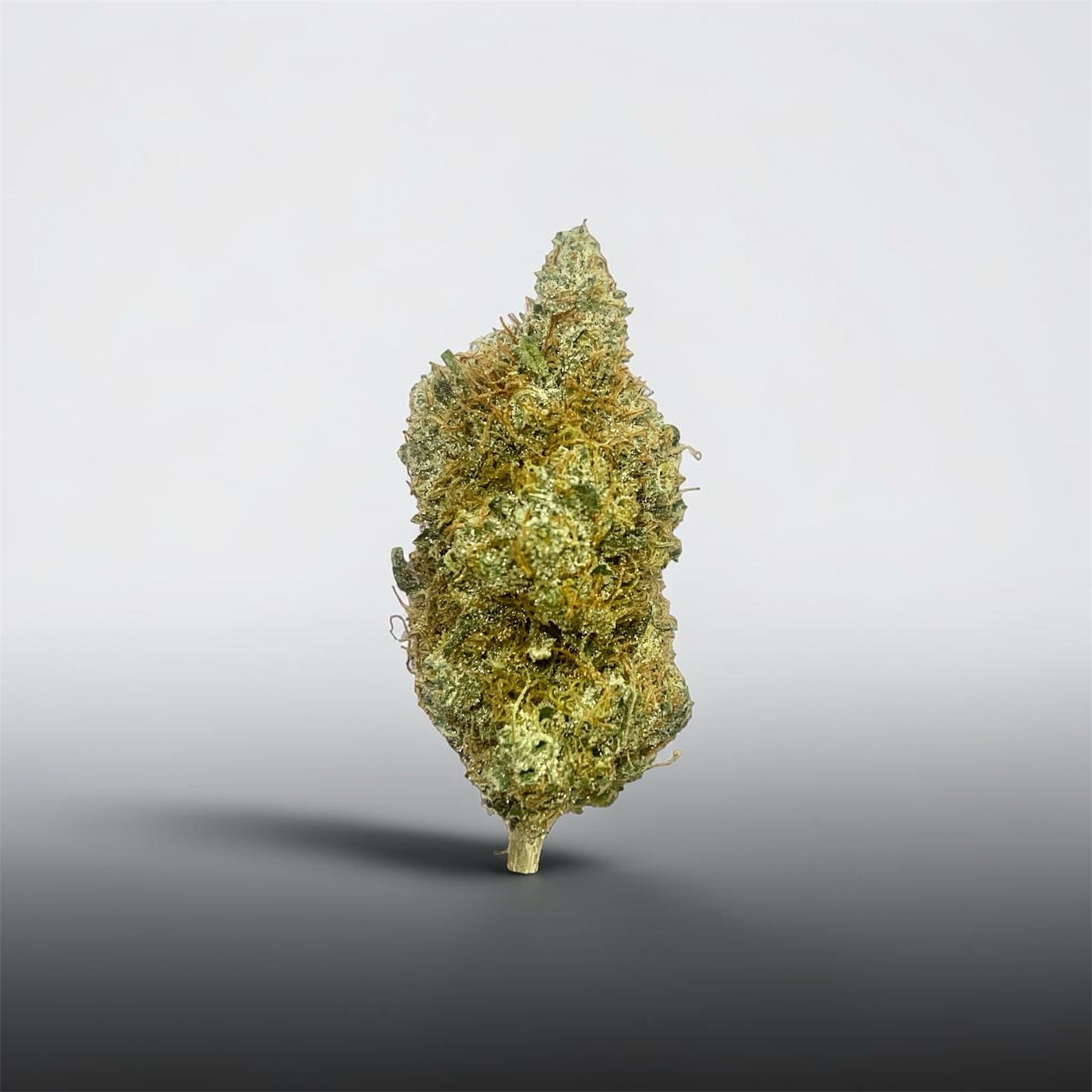 MARATHON OG | INDICA