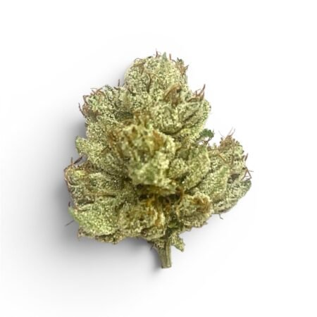ALIEN OG | HYBRID