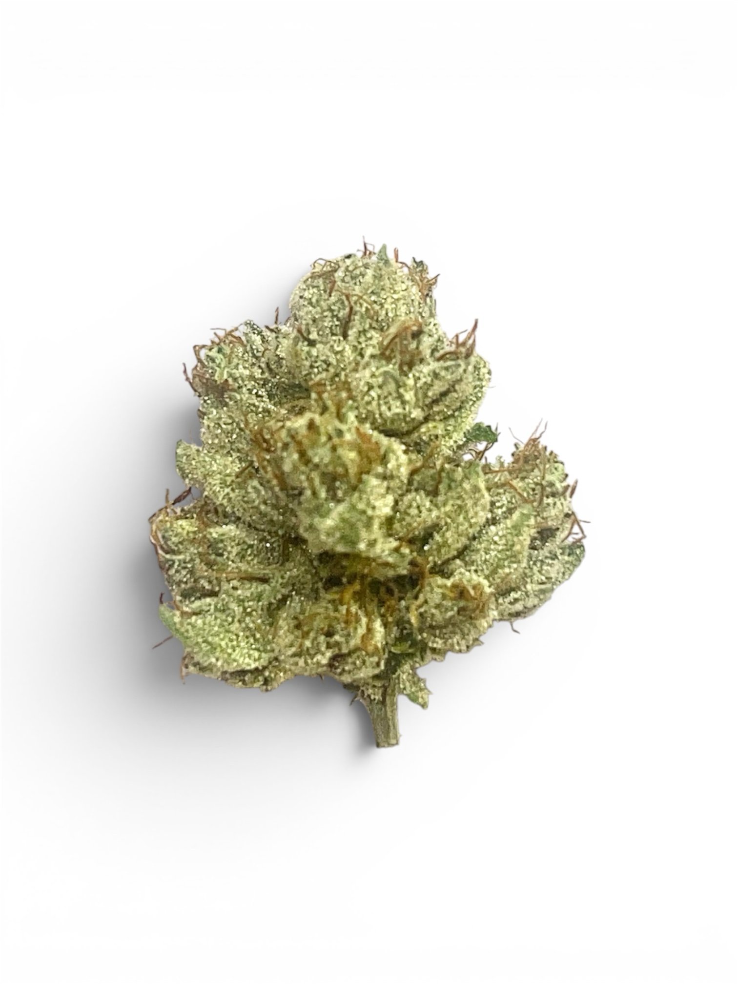 ALIEN OG | HYBRID